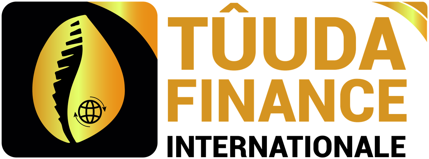 Logo TUUDA Finance Internationale